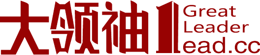  大领袖战略咨询